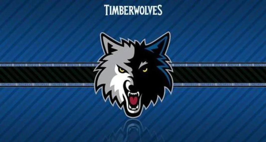 在这一框架 在这一框架